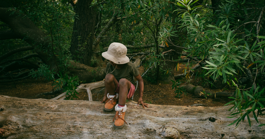 How to Teach Children Mindfulness Through Nature (Without Them Knowing)