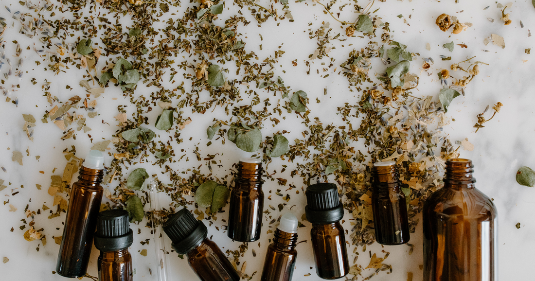 Building Your Natural Medicine Cabinet: Herbs for Colds, Flu, and Immunity