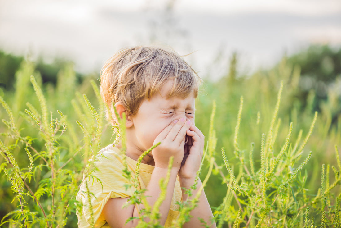 Natural Hay Fever Prevention