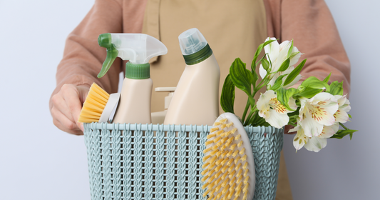 Detox Your Life: Simple Changes for a Healthier, Toxin-Free Home