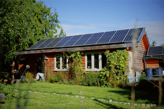 Sustainable Herbal Remedies