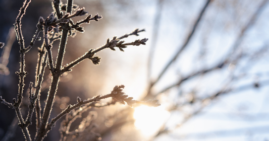 9 Practitioner Tips for Low Mood & SAD