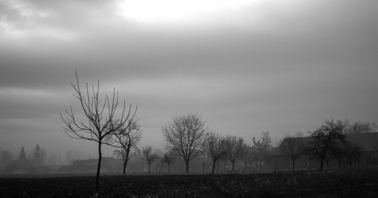 How to Support Low Mood Naturally in the Darker Months